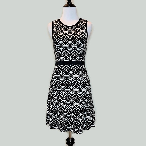 Abercrombie & Fitch Flare A-line Knit Sweater Dress XS - Picture 3 of 14